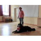 Hundestunde mit Theresia und Magnus